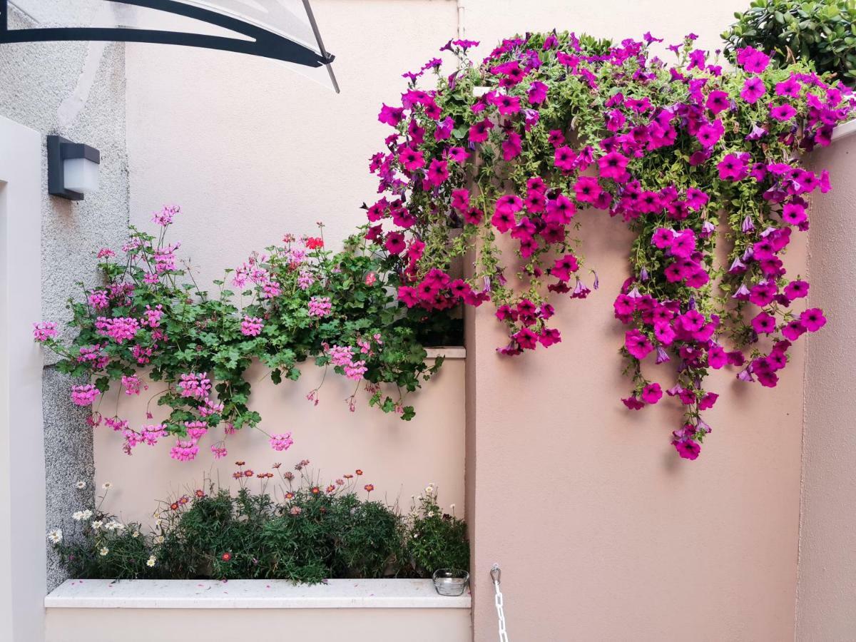Da Vinko Beach Apartments Split Dış mekan fotoğraf